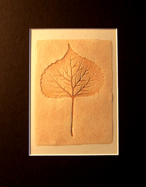 leaf fossil